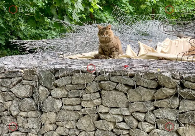 Плетеные габионы